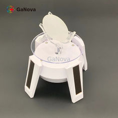 単結晶のGaNのエピタキシアル ウエファー2inch Cの表面国連はNのタイプを添加した
